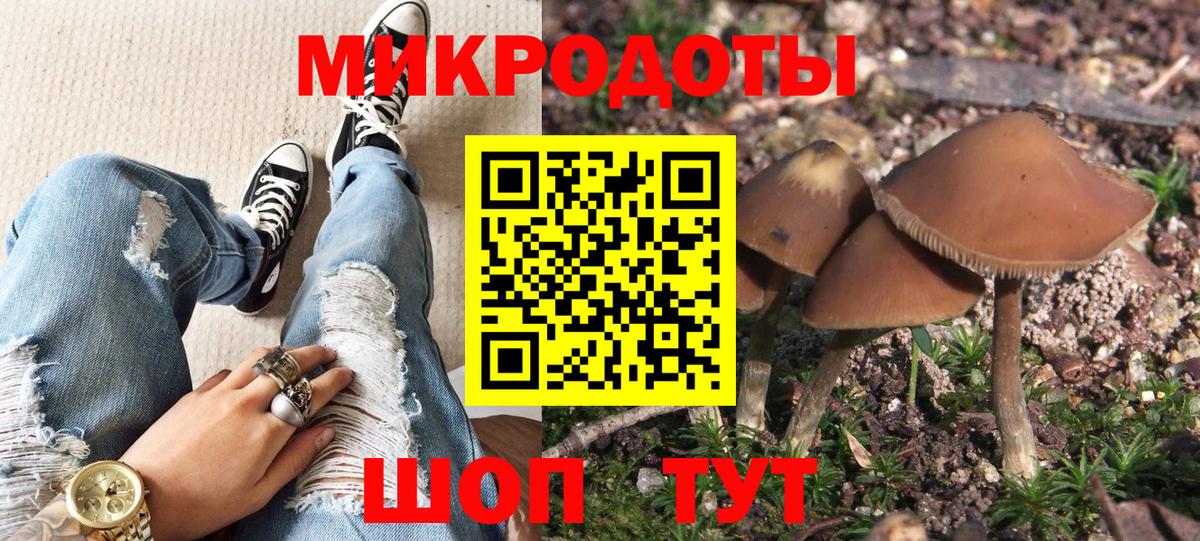 Галлюциногенные грибы GOLDEN TEACHER  Вход с VPN  Киреевск 